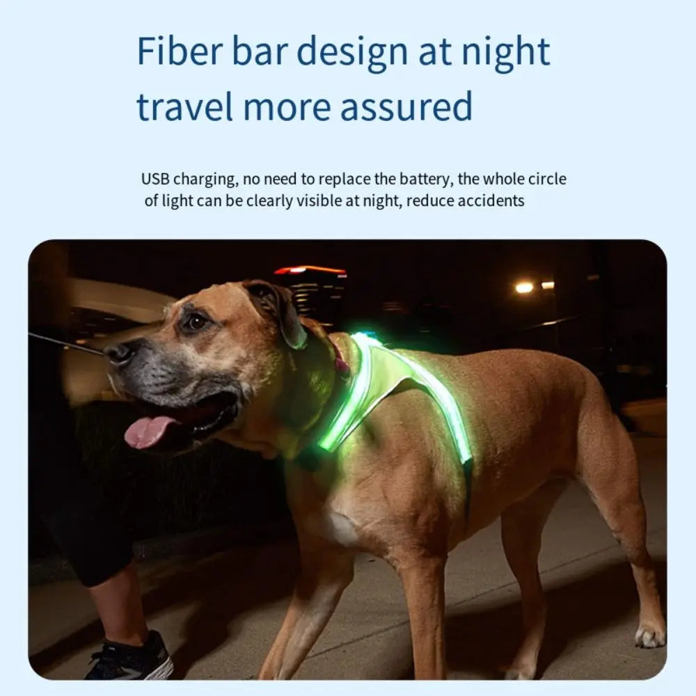 Adjustable LED Light-Up Dog Harness