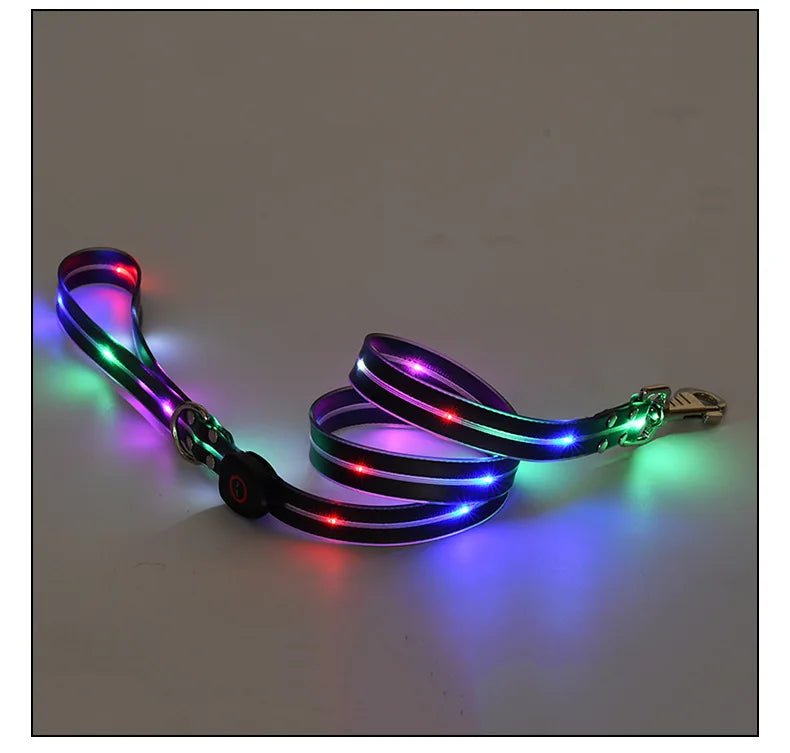 Pet Supply Dog Accessories USB Rechargeable Light Up LED Dog Collars Dog Lead for Pet Night Walking Safety