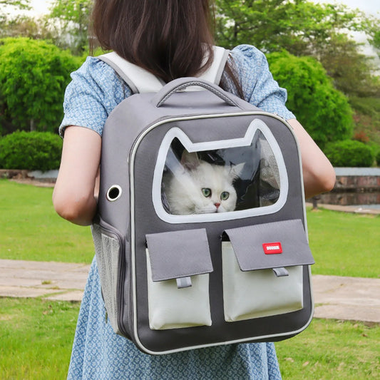 Transparent Pet Transporter