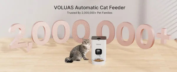 Timed Pet Feeder