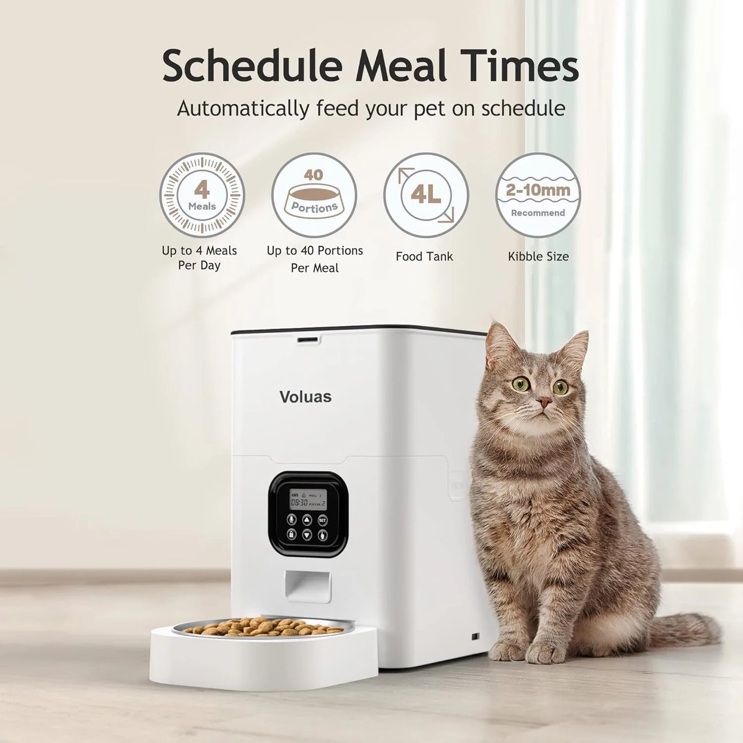 Timed Pet Feeder