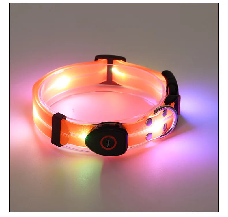 Pet Supply Dog Accessories USB Rechargeable Light Up LED Dog Collars Dog Lead for Pet Night Walking Safety