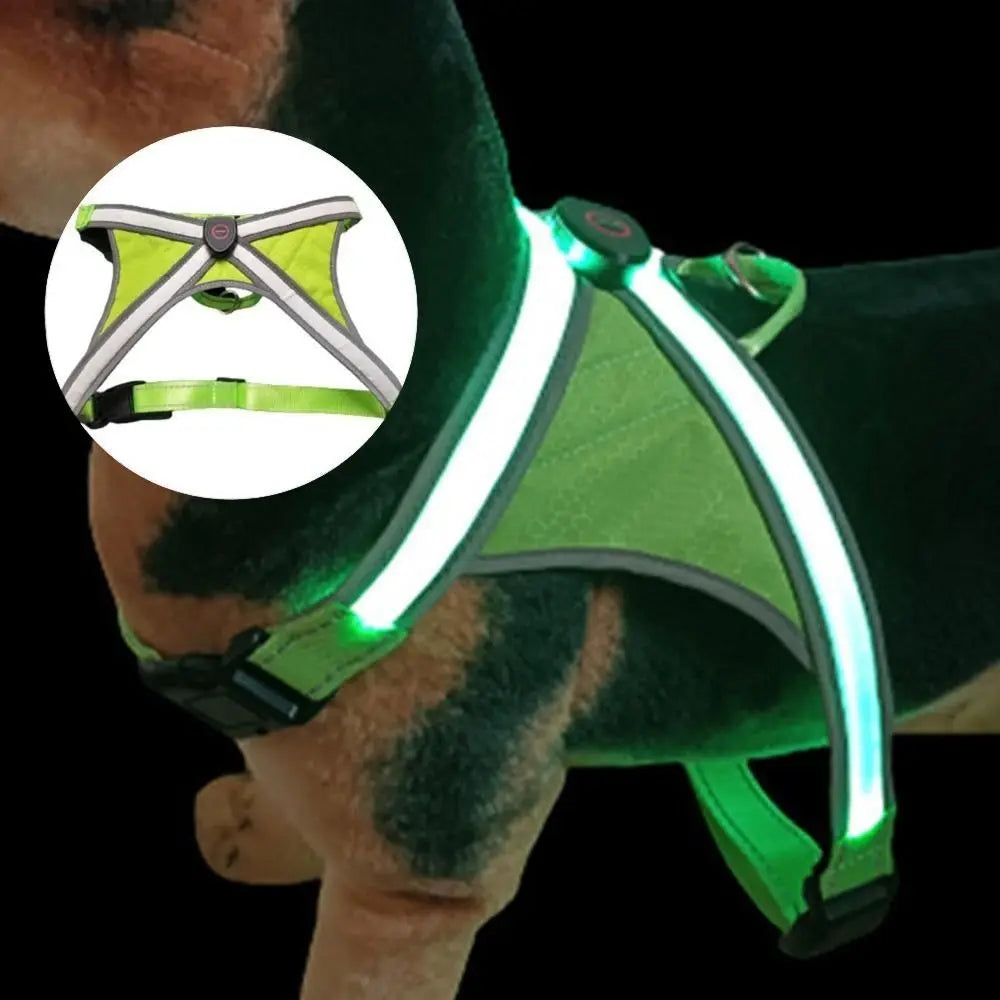 Adjustable LED Light-Up Dog Harness