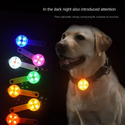 Waterproof LED Anti-Loss Dog Collar