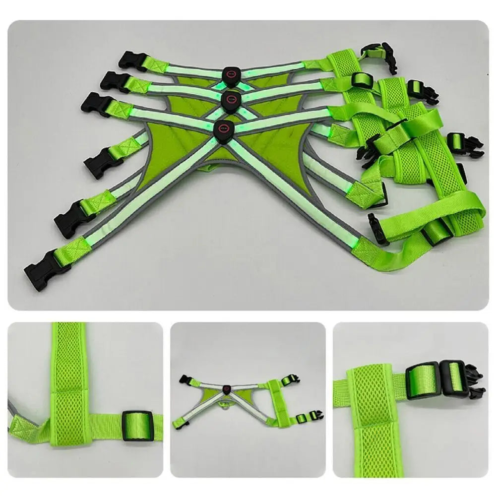 Adjustable LED Light-Up Dog Harness