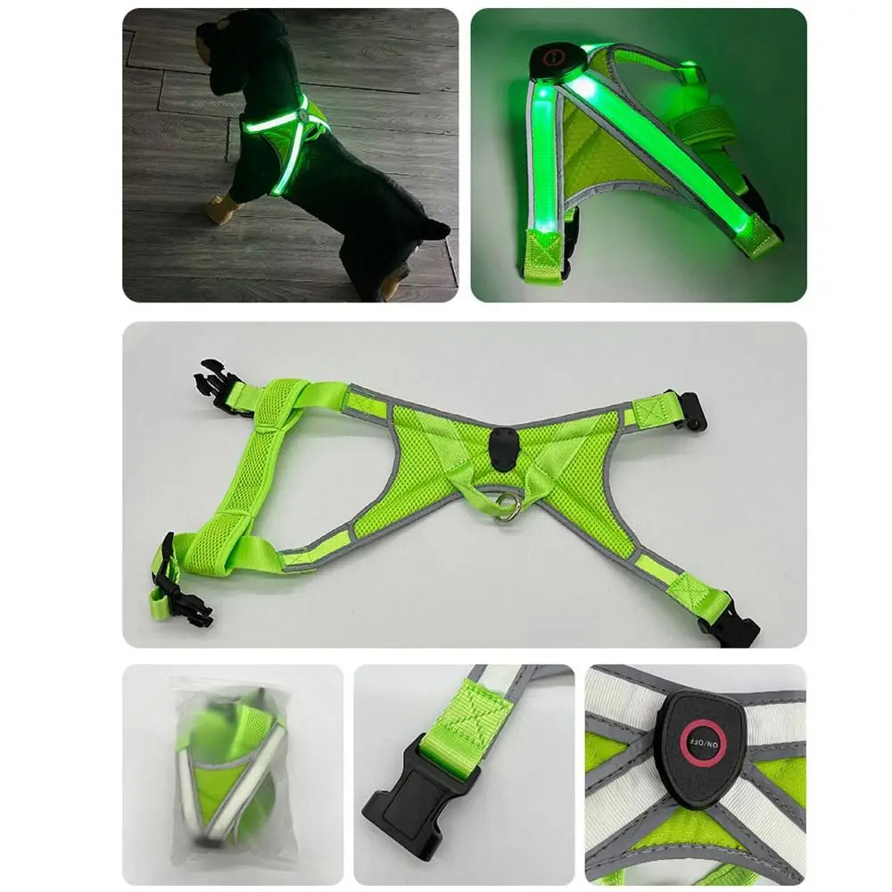 Adjustable LED Light-Up Dog Harness