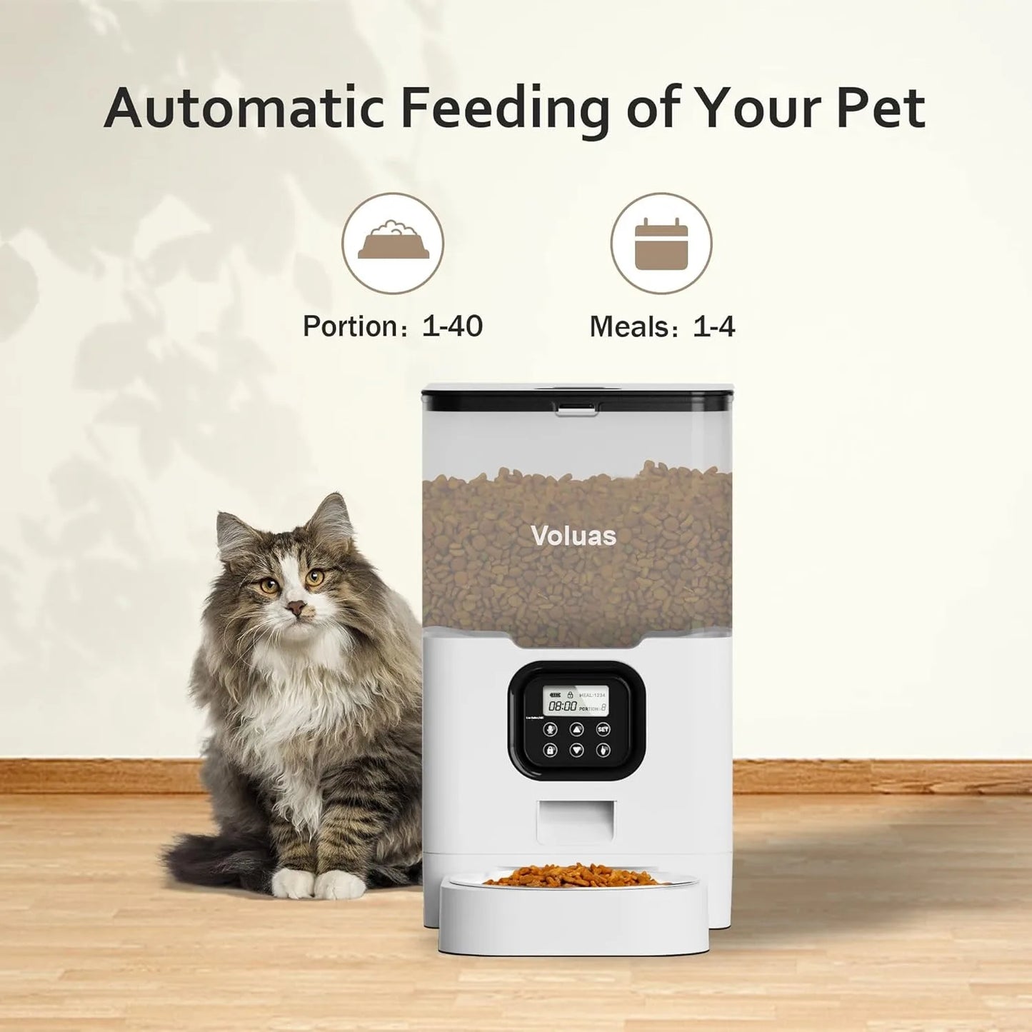 Auto Cat Feeder