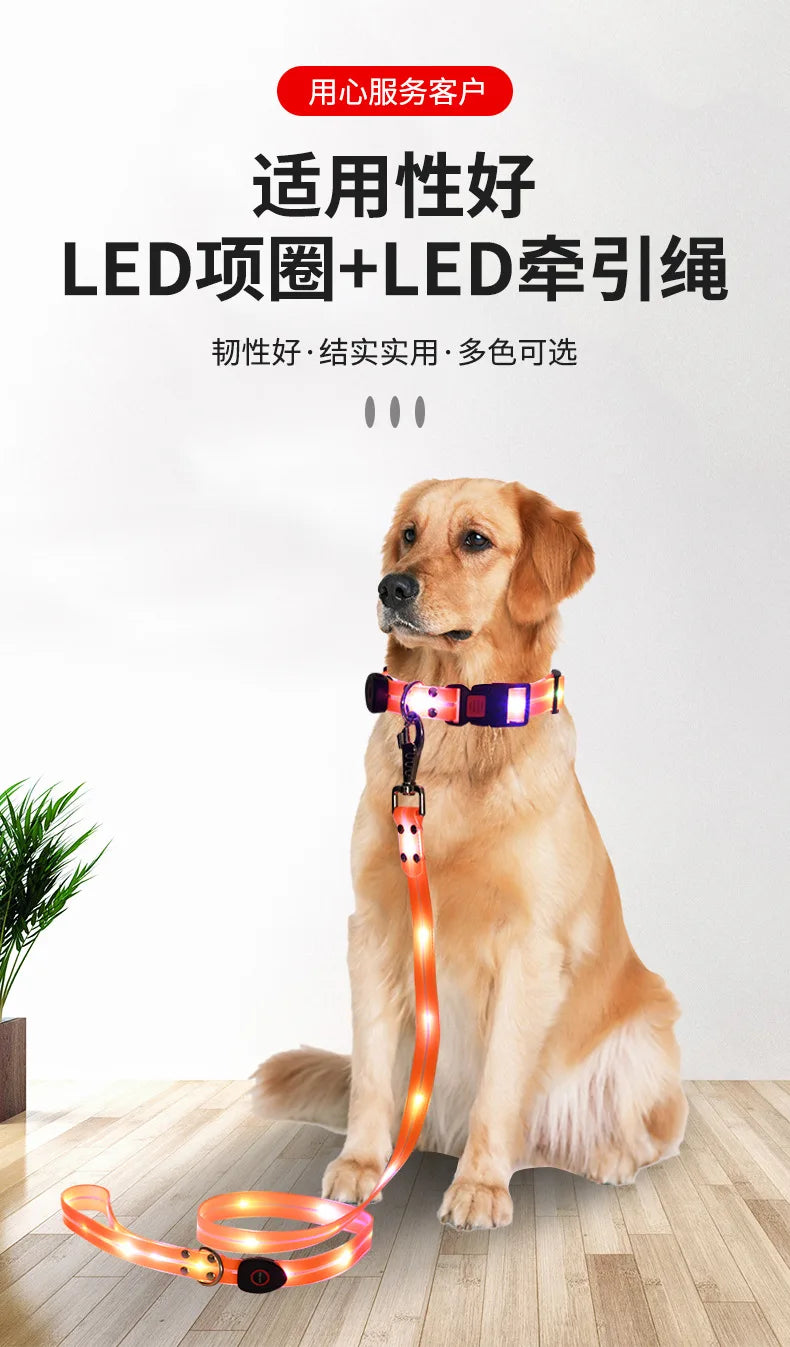 Pet Supply Dog Accessories USB Rechargeable Light Up LED Dog Collars Dog Lead for Pet Night Walking Safety