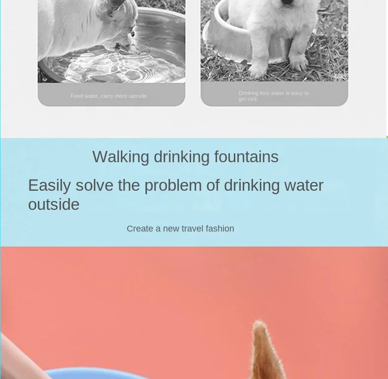 Portable Dog Water Bottle