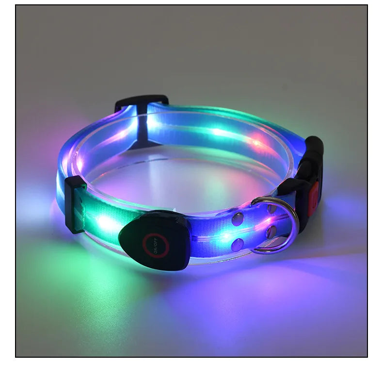 Pet Supply Dog Accessories USB Rechargeable Light Up LED Dog Collars Dog Lead for Pet Night Walking Safety