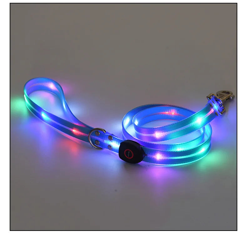 Pet Supply Dog Accessories USB Rechargeable Light Up LED Dog Collars Dog Lead for Pet Night Walking Safety