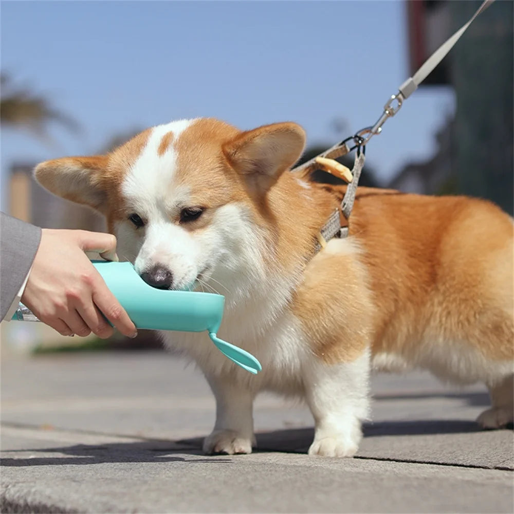 Portable Dog Water Bottle 200ml?