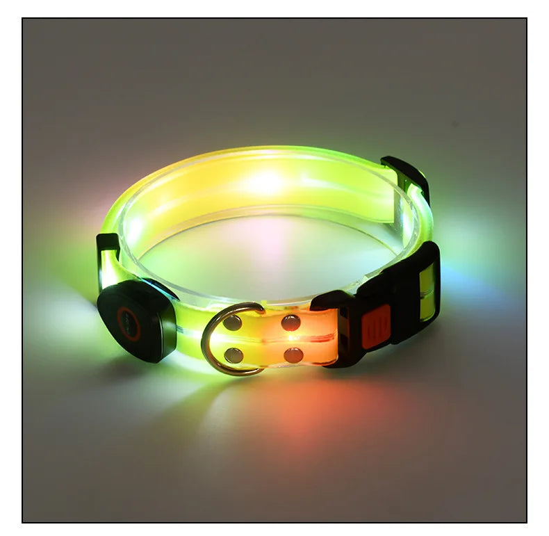 Pet Supply Dog Accessories USB Rechargeable Light Up LED Dog Collars Dog Lead for Pet Night Walking Safety