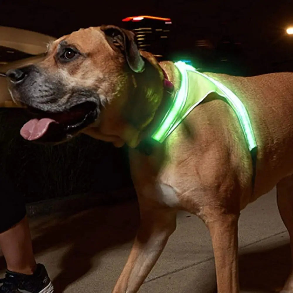 Adjustable LED Light-Up Dog Harness