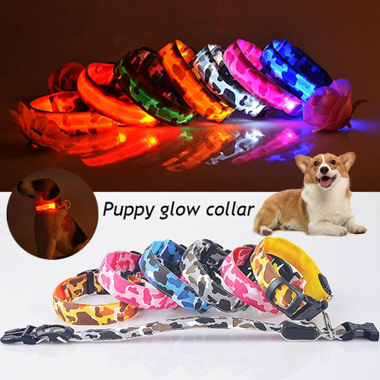 Bright LED Dog Collar Light