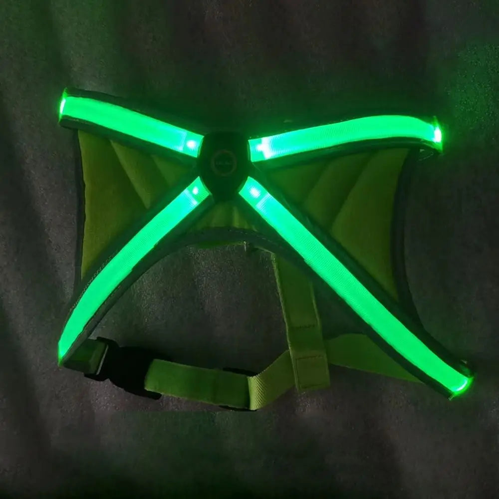 Adjustable LED Light-Up Dog Harness