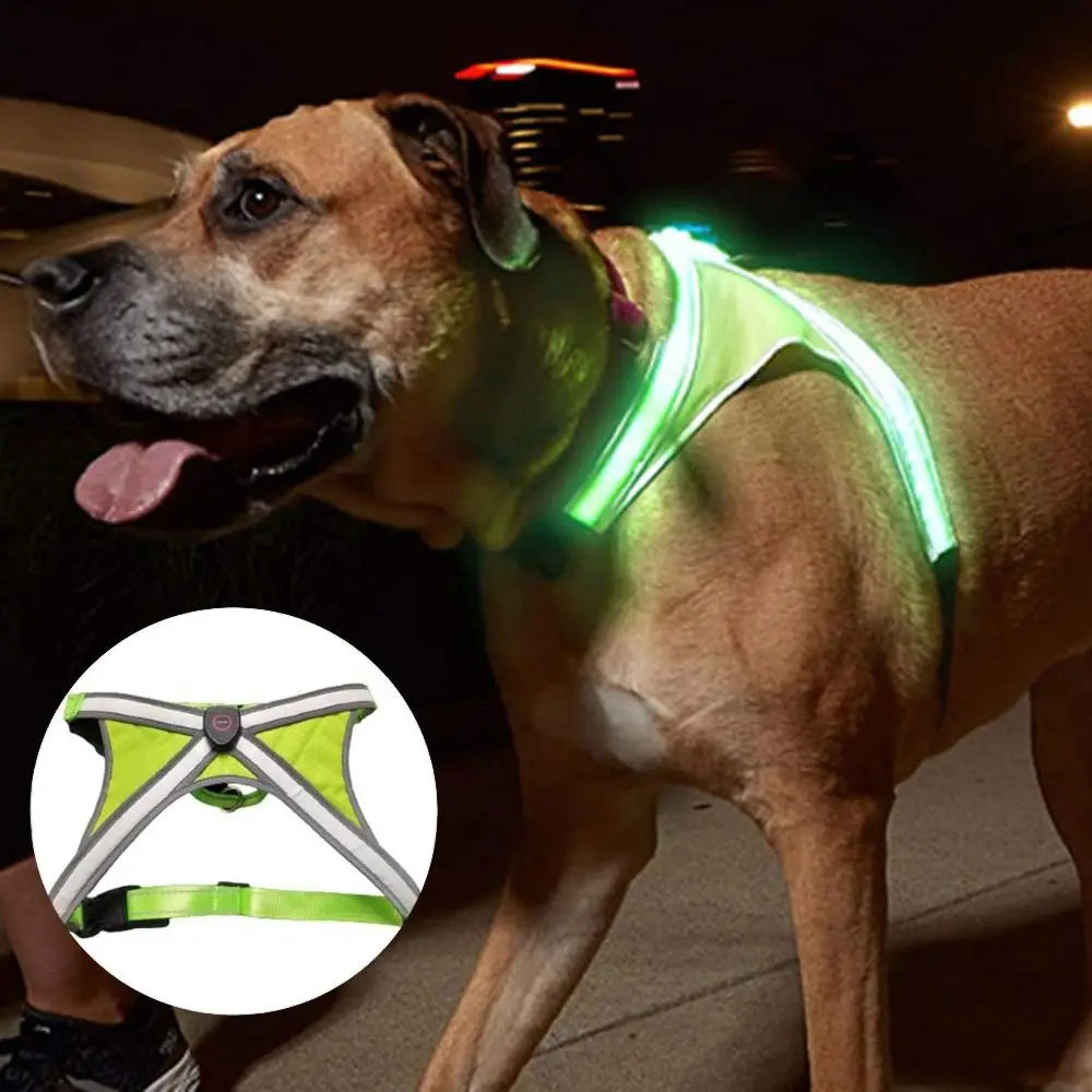 Adjustable LED Light-Up Dog Harness