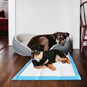 Gigantic Dog Training Pads