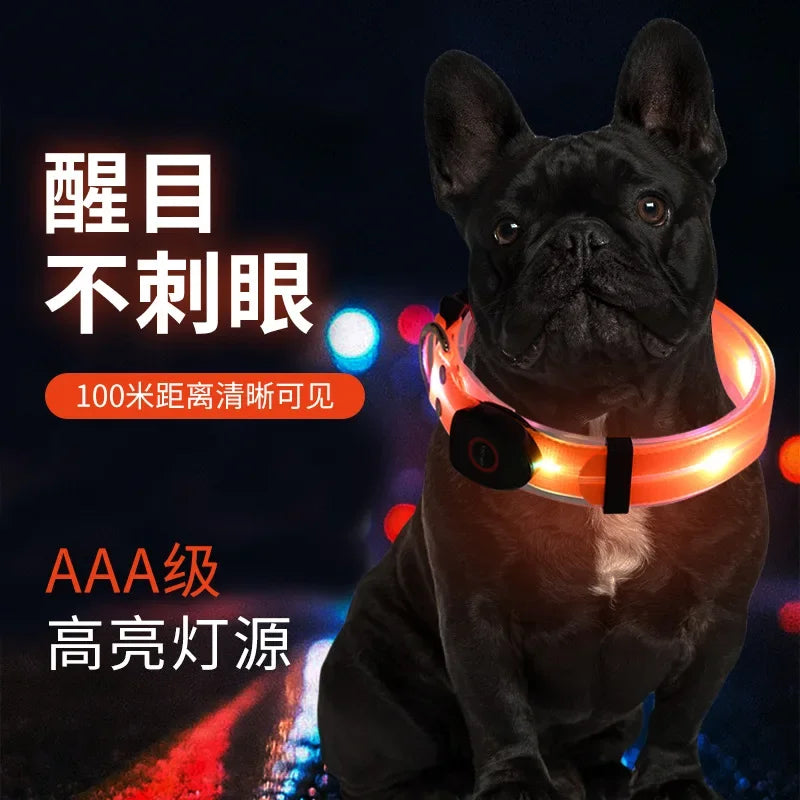 Pet Supply Dog Accessories USB Rechargeable Light Up LED Dog Collars Dog Lead for Pet Night Walking Safety