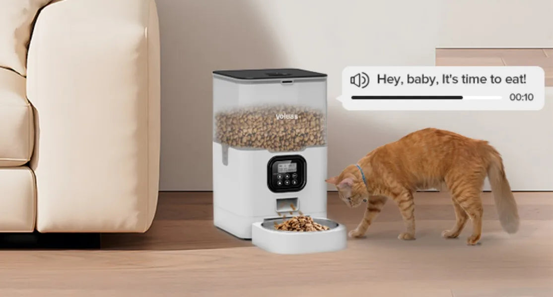 Auto Cat Feeder