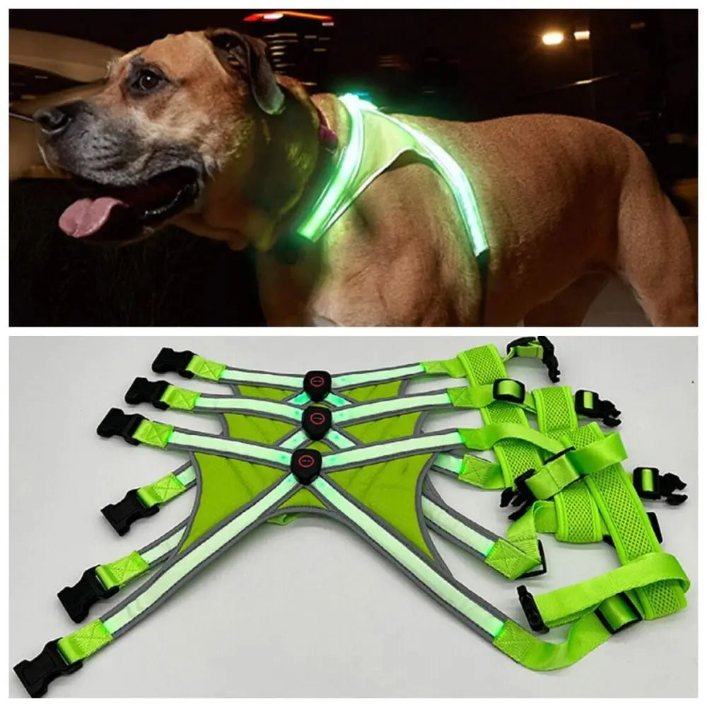 Adjustable LED Light-Up Dog Harness