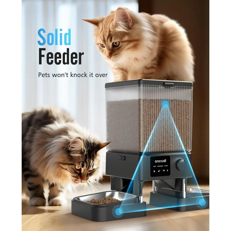 Dual Cat Feeder