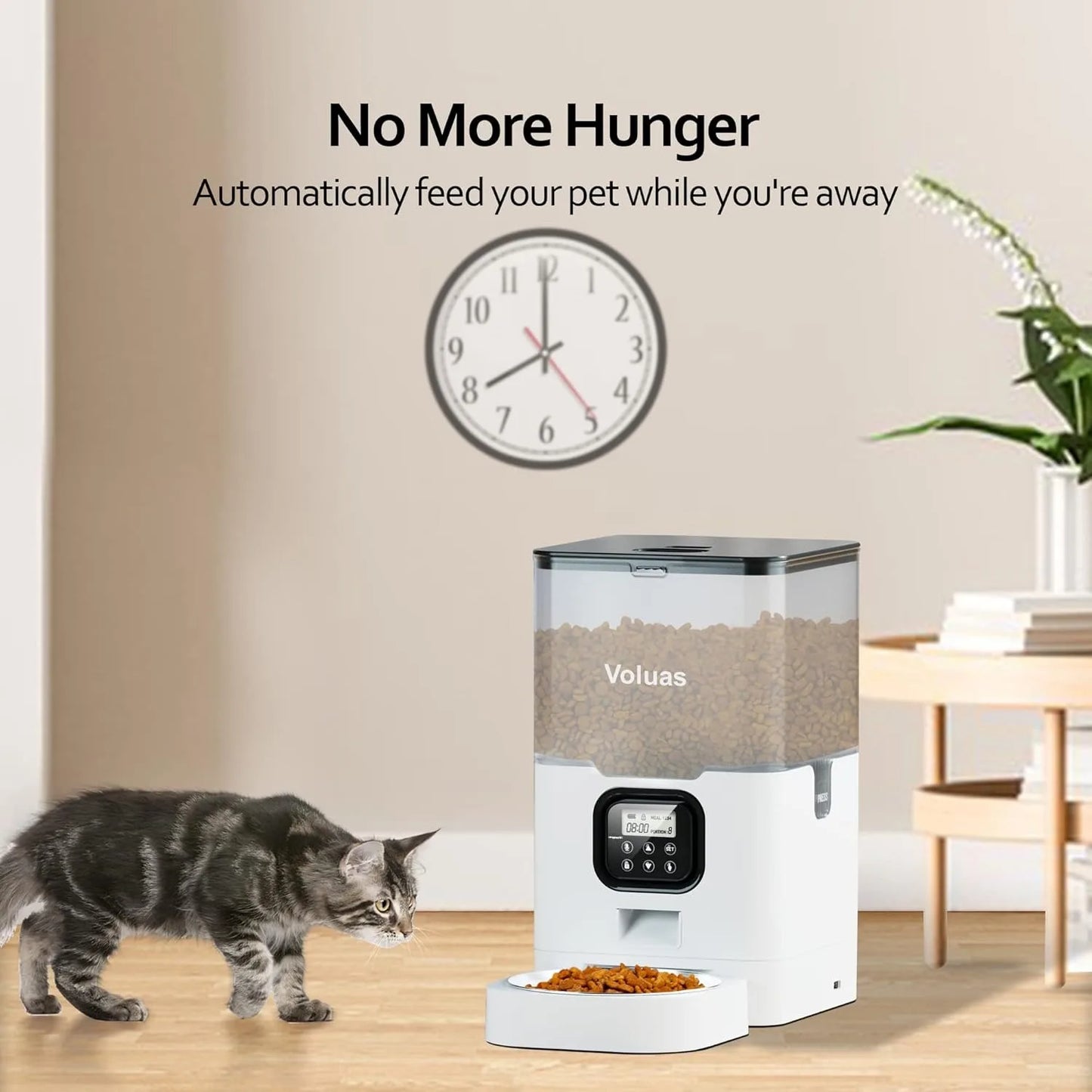 Auto Cat Feeder