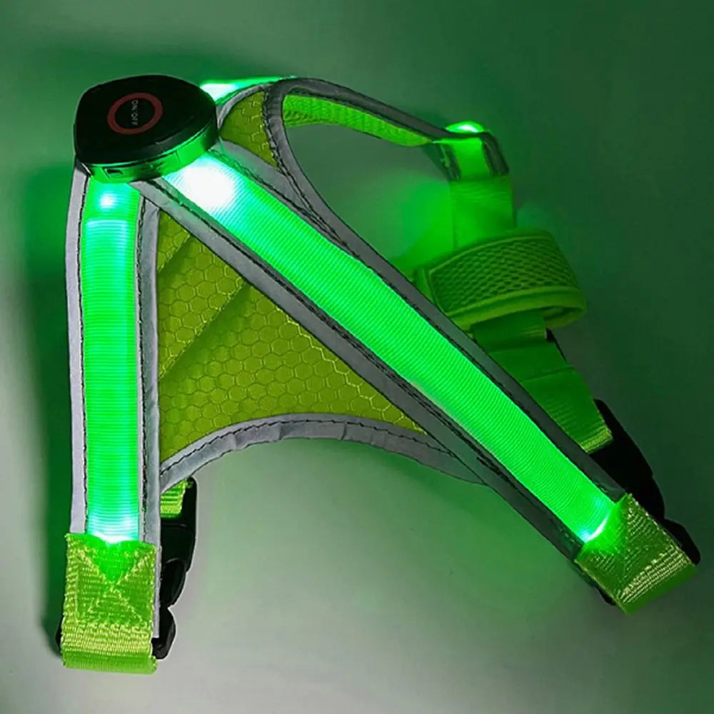 Adjustable LED Light-Up Dog Harness