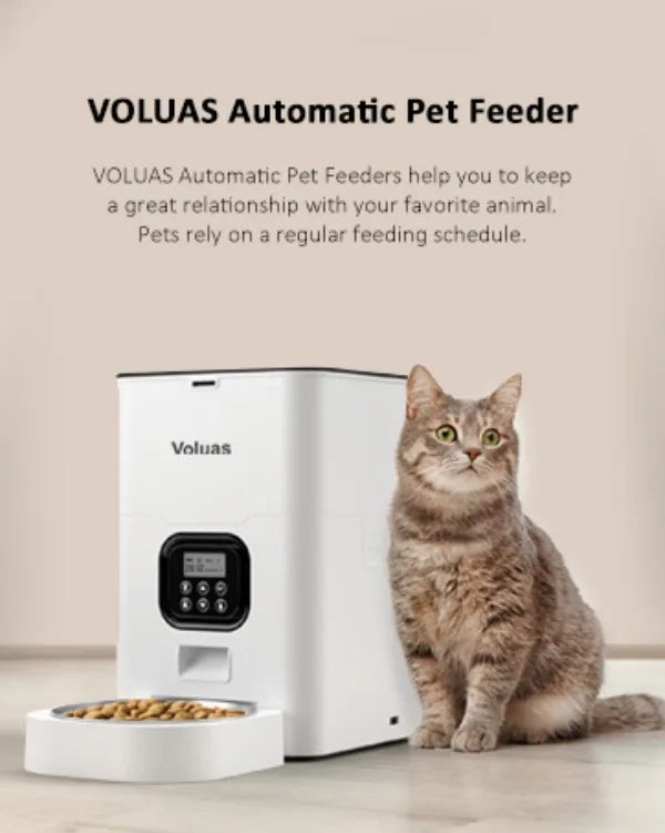 Timed Pet Feeder