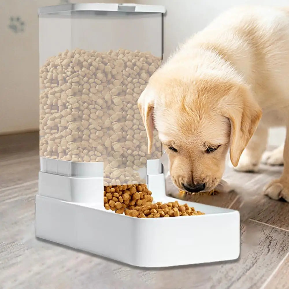 ClearPaw 3.8L Auto Feeder