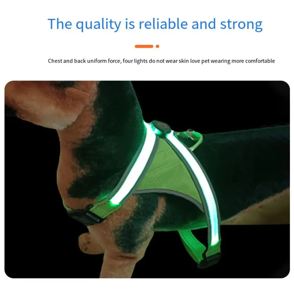 Adjustable LED Light-Up Dog Harness