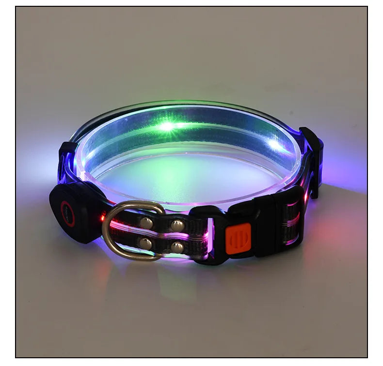 Pet Supply Dog Accessories USB Rechargeable Light Up LED Dog Collars Dog Lead for Pet Night Walking Safety