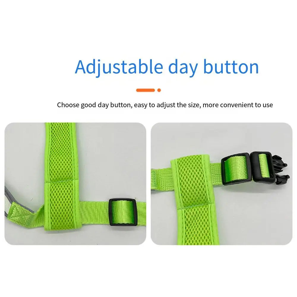 Adjustable LED Light-Up Dog Harness